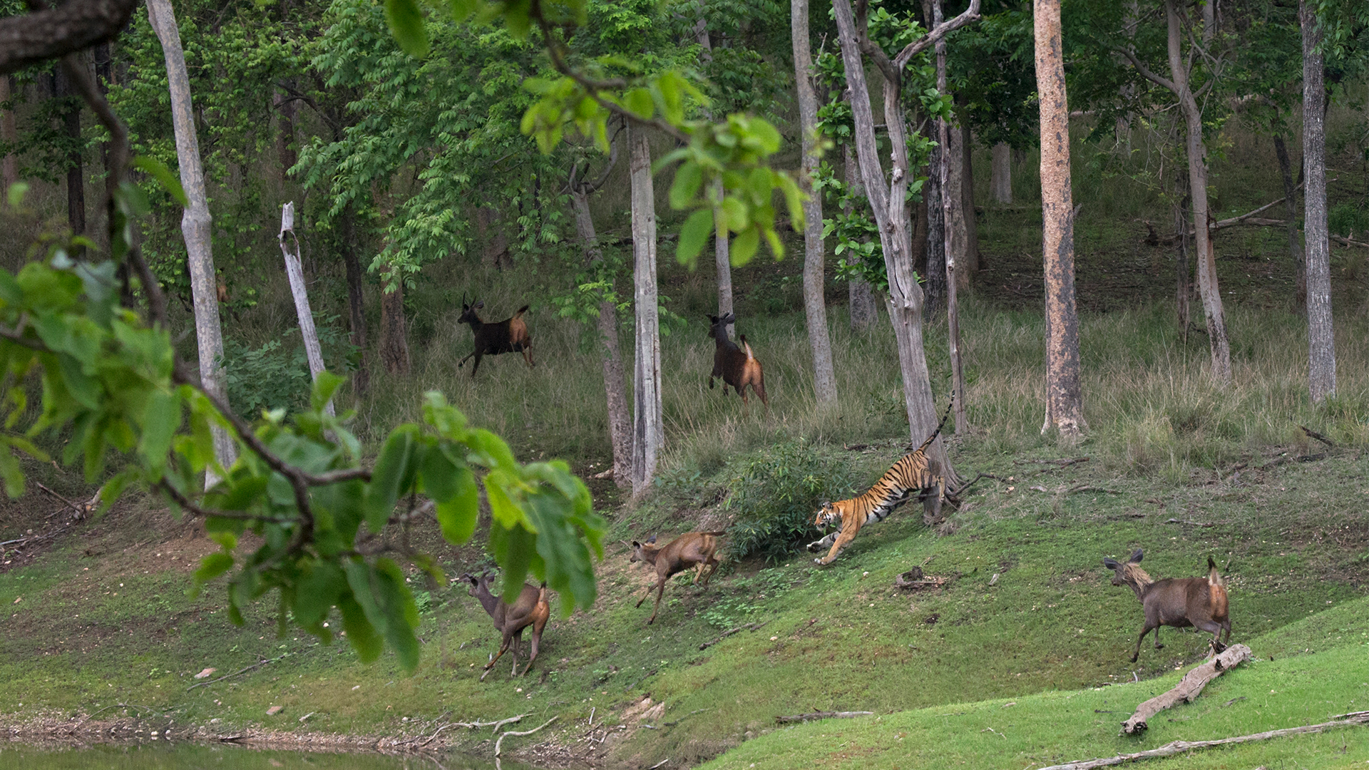 How To Reach Pench